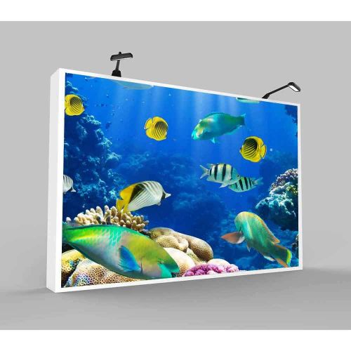  GESEN Underwater World Backdrop 10x7ft Colorful Fish Marine Life Photography Backdrop for Pictures Themed Party Background Photo Studio Props XCGE836