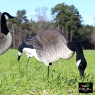 GHG Decoys AVERY GHG PRO GRADE 3-D SILHOUETTES GOOSE DECOYS - HARVESTER 12 PACK