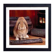 GLITZFAS PRINTS Framed Wall Art rabbit wood stove sit Art Print Black wood Framed Wall Art Picture For Home Decoration 14x14 (35cmx35cm) Framed