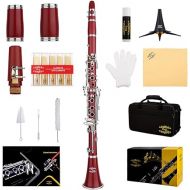 Glory GLY-CLARD Professional Ebonite Bb Clarinet with 10 Reeds, Stand, Hard Case, Cleaning Cloth, Cork Grease, Mouthpiece Brush and Pad Brush,Red