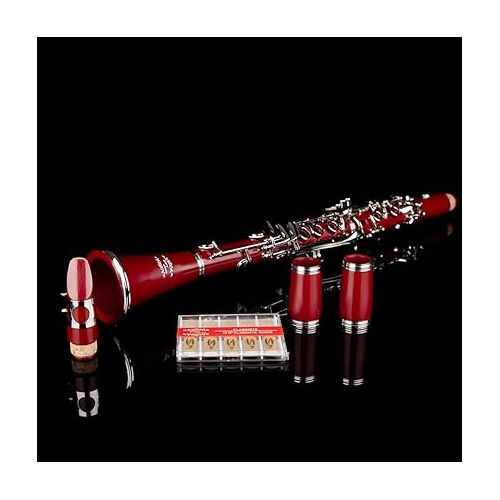  Glory GLY-CLARD Professional Ebonite Bb Clarinet with 10 Reeds, Stand, Hard Case, Cleaning Cloth, Cork Grease, Mouthpiece Brush and Pad Brush,Red