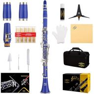 Glory GLY-CLADBL Professional Ebonite Bb Clarinet with 10 Reeds, Stand, Hard Case, Cleaning Cloth, Cork Grease, Mouthpiece Brush and Pad Brush,Dark Blue/Silver