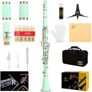 Glory GLY-CLAGN Professional Ebonite Bb Clarinet with 10 Reeds, Stand, Hard Case, Cleaning Cloth, Cork Grease, Mouthpiece Brush and Pad Brush,Green