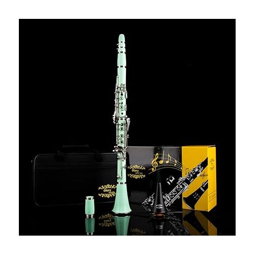  Glory GLY-CLAGN Professional Ebonite Bb Clarinet with 10 Reeds, Stand, Hard Case, Cleaning Cloth, Cork Grease, Mouthpiece Brush and Pad Brush,Green