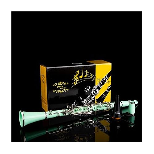  Glory GLY-CLAGN Professional Ebonite Bb Clarinet with 10 Reeds, Stand, Hard Case, Cleaning Cloth, Cork Grease, Mouthpiece Brush and Pad Brush,Green