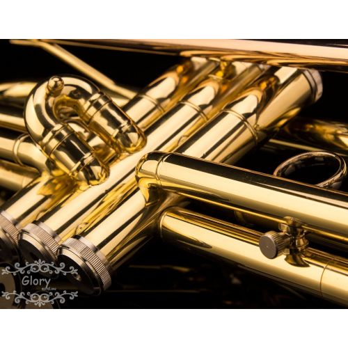  Glory Brass Bb Trumpet with Pro Case +Care Kit, Gold, No NEED TUNING,Play directlly. More COLORS Available ! CLICK on LISTING to SEE All Colors