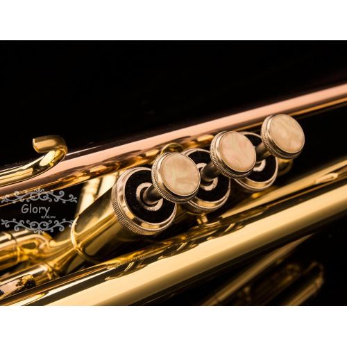  Glory Brass Bb Trumpet with Pro Case +Care Kit, Gold, No NEED TUNING,Play directlly. More COLORS Available ! CLICK on LISTING to SEE All Colors