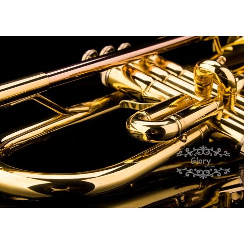  Glory Brass Bb Trumpet with Pro Case +Care Kit, Gold, No NEED TUNING,Play directlly. More COLORS Available ! CLICK on LISTING to SEE All Colors