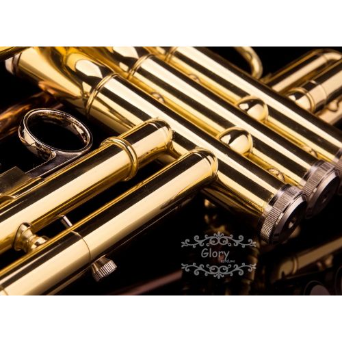  Glory Brass Bb Trumpet with Pro Case +Care Kit, Gold, No NEED TUNING,Play directlly. More COLORS Available ! CLICK on LISTING to SEE All Colors