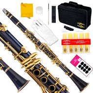 GLORY Glory B Flat Clarinet with Second Barrel, 11reeds,8 Pads cushions,case,carekit and more~Dark Blue with Gold keys