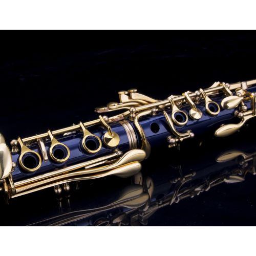  GLORY Glory B Flat Clarinet with Second Barrel, 11reeds,8 Pads cushions,case,carekit and more~Dark Blue with Gold keys