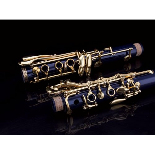  GLORY Glory B Flat Clarinet with Second Barrel, 11reeds,8 Pads cushions,case,carekit and more~Dark Blue with Gold keys