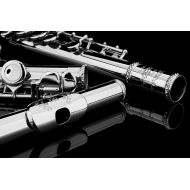 GLORY Engraved Glory Closed Hole C Flute for Band , Orchestra, With Case, Tuning Rod and Cloth,Joint Grease and Gloves , Engraved Silver Nickel Color flute