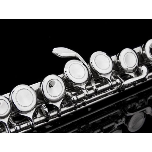  GLORY Engraved Glory Closed Hole C Flute for Band , Orchestra, With Case, Tuning Rod and Cloth,Joint Grease and Gloves , Engraved Silver Nickel Color flute