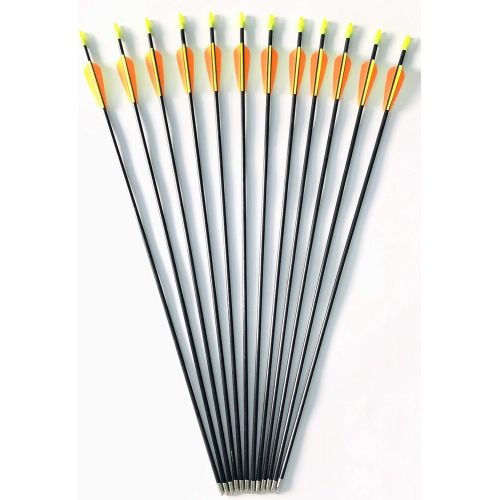  GPP 28-inches Fiberglass Archery Target Arrows - Practice Arrow or Youth Arrow for Recurve Bow