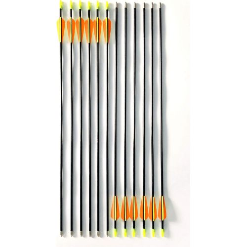  GPP 28-inches Fiberglass Archery Target Arrows - Practice Arrow or Youth Arrow for Recurve Bow