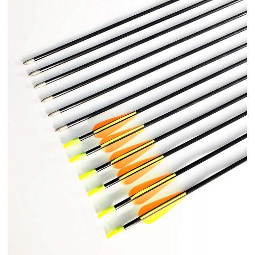  GPP 28-inches Fiberglass Archery Target Arrows - Practice Arrow or Youth Arrow for Recurve Bow