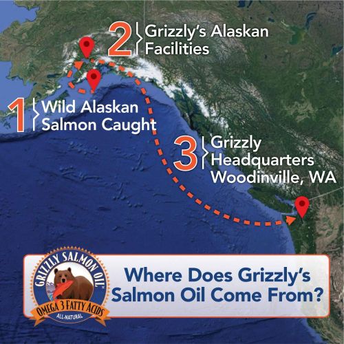  GRIZZLY SALMON OIL OMEGA 3 FATTY ACIDS ALL-NATURAL Grizzly Salmon Oil Omega-3 Fatty Acids All-Natural Dog Food Supplement