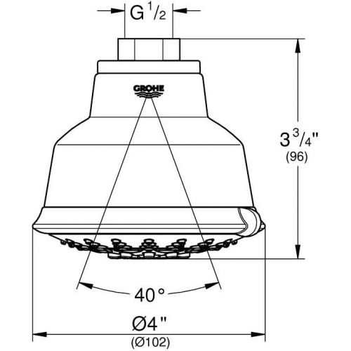  GROHE Relexa Rustic 100 5-Spray Showerhead