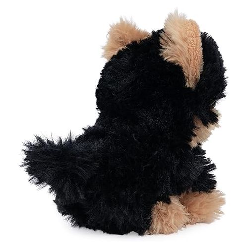  GUND Boo, The World’s Cutest Dog, Boo & Friends Collection Yorkie Puppy, Stuffed Animal for Ages 1 and Up, 5”