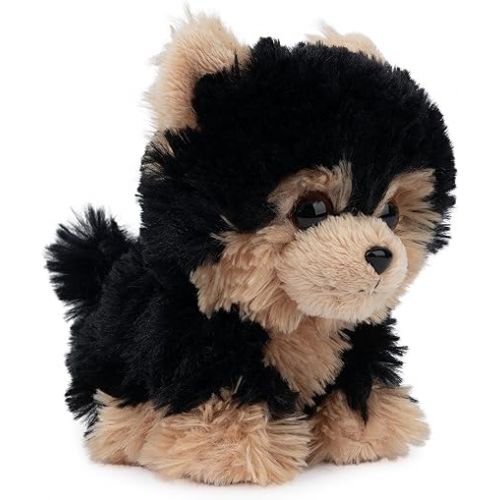  GUND Boo, The World’s Cutest Dog, Boo & Friends Collection Yorkie Puppy, Stuffed Animal for Ages 1 and Up, 5”