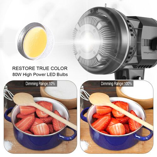  GVM LED Video Soft Light (Daylight-Balanced) LS-p80s LED 1-Light