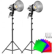 GVM LED Video Soft Light (Daylight-Balanced) LS-p80s LED 2-Light Kit with Filters