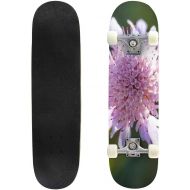 GWFERC Pink Gladiolus Flower Close up Garden Flowers Skateboard 31x8 Double-Warped Skateboards Outdoor Street Sports Skateboard for Beginners Professionals Cool Adult Teen Gifts