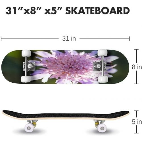  GWFERC Pink Gladiolus Flower Close up Garden Flowers Skateboard 31x8 Double-Warped Skateboards Outdoor Street Sports Skateboard for Beginners Professionals Cool Adult Teen Gifts