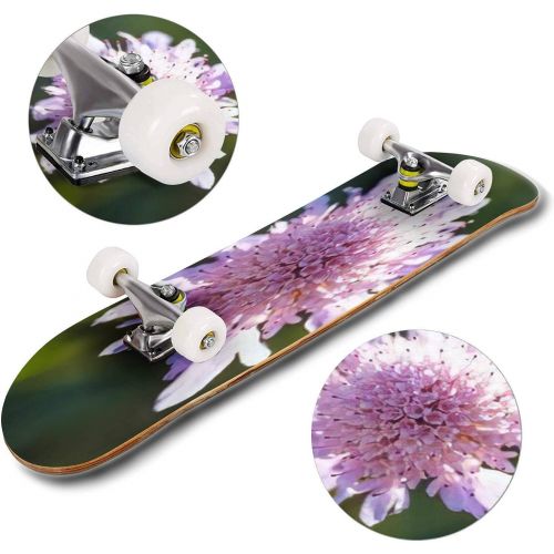  GWFERC Pink Gladiolus Flower Close up Garden Flowers Skateboard 31x8 Double-Warped Skateboards Outdoor Street Sports Skateboard for Beginners Professionals Cool Adult Teen Gifts