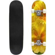 GWFERC White Daisy Flowers Close up with Water Drops Skateboard 31x8 Double-Warped Skateboards Outdoor Street Sports Skateboard for Beginners Professionals Cool Adult Teen Gifts