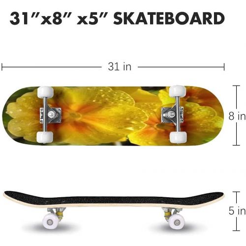  GWFERC White Daisy Flowers Close up with Water Drops Skateboard 31x8 Double-Warped Skateboards Outdoor Street Sports Skateboard for Beginners Professionals Cool Adult Teen Gifts