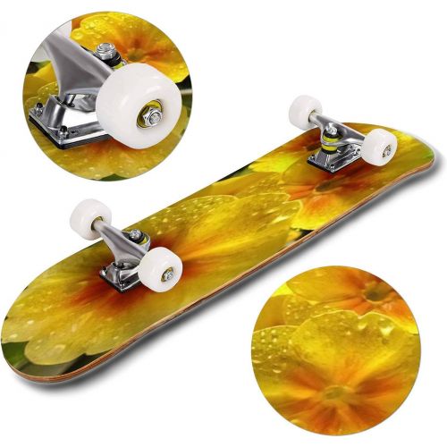  GWFERC White Daisy Flowers Close up with Water Drops Skateboard 31x8 Double-Warped Skateboards Outdoor Street Sports Skateboard for Beginners Professionals Cool Adult Teen Gifts