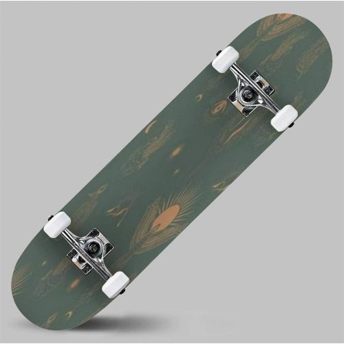  GWFERC Phoenix Black and White signsymbol Skateboard 31x8 Double-Warped Skateboards Outdoor Street Sports Skateboard for Beginners Professionals Cool Adult Teen Gifts