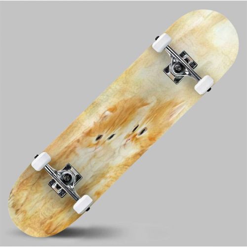  GWFERC Three Cats a House and Dandelions Oil on Canvas Skateboard 31x8 Double-Warped Skateboards Outdoor Street Sports Skateboard for Beginners Professionals Cool Adult Teen Gifts