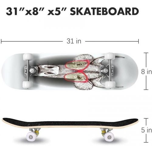  GWFERC Hand Drawn Fashion of Bear in Fedora hat with Cigar Skateboard 31x8 Double-Warped Skateboards Outdoor Street Sports Skateboard for Beginners Professionals Cool Adult Teen Gifts