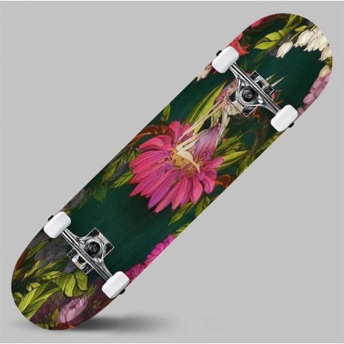  GWFERC 4 Graphic Vector of Mythical Creatures Set 32 Skateboard 31x8 Double-Warped Skateboards Outdoor Street Sports Skateboard for Beginners Professionals Cool Adult Teen Gifts