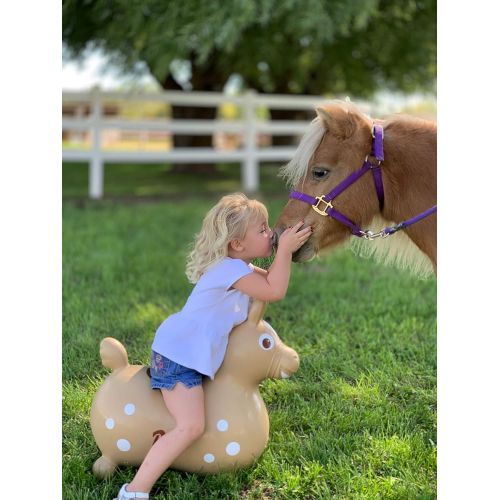  GYMNIC Rody Horse (Light Brown)