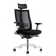 Gabrylly Office Chair Mesh Ergonomic Chair, Adjustable Computer Desk Chair, High-Back with 3D Armrest, Aluminum Alloy Frame, Lumbar Support and Comfortable Glide Seat(Black)