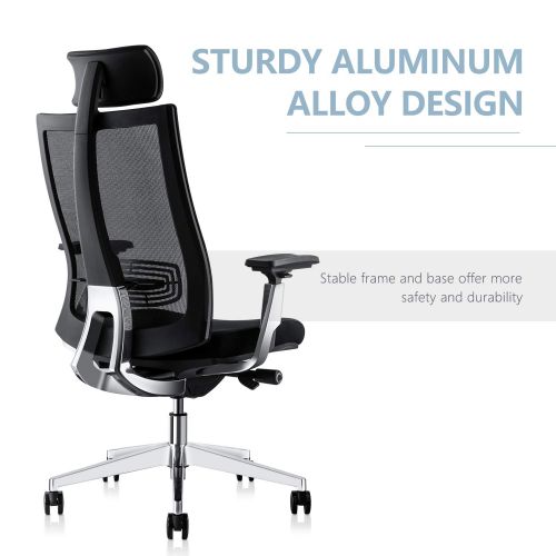  Gabrylly Office Chair Mesh Ergonomic Chair, Adjustable Computer Desk Chair, High-Back with 3D Armrest, Aluminum Alloy Frame, Lumbar Support and Comfortable Glide Seat(Black)