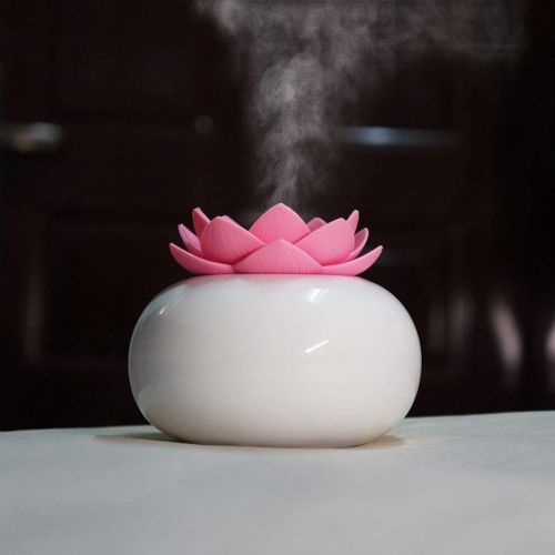  Gaddrt Humidifier Gaddrt 10x9cm Tragbarer Minihaus-USB-Luftbefeuchter-Reiniger Zerstauber-Luftreiniger-Diffuser 200ml Luftbefeuchter Diffuser