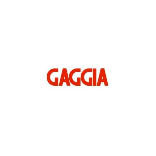  Gaggia Mavea Intenza Water Filter for Saeco & Gaggia Espresso Machines (6 Pack)