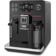 Gaggia Accademia Luxury Italian Fully Automatic Espresso Machine with 19 Programmable Settings,0.5 Liters,RI9782/46 Brushed Stainless