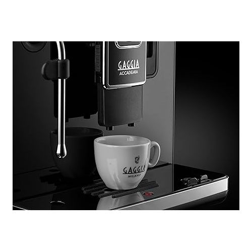  Gaggia Accademia Luxury Italian Fully Automatic Espresso Machine with 19 Customized drink settings,0.5 Liters,RI9782/46 Brushed Stainless