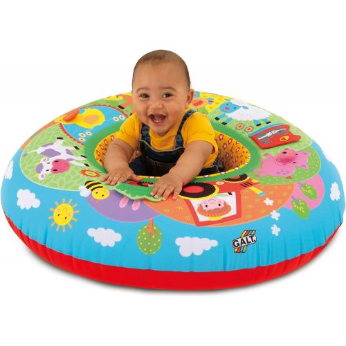  Galt Toys, Playnest - Farm, Baby Activity Center & Floor Seat, Multicolor