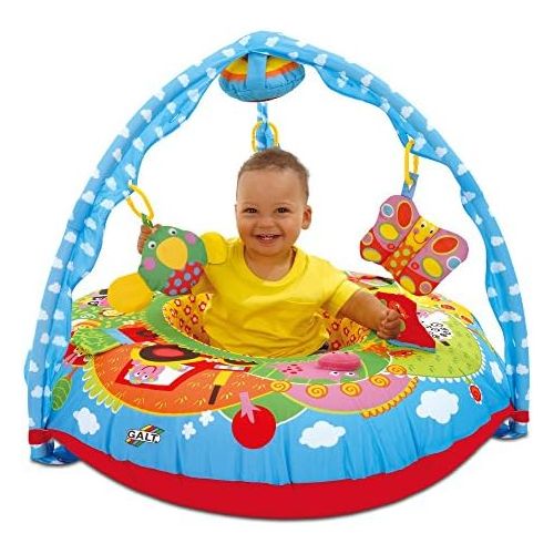  Galt America Galt Toys, Playnest & Gym - Farm, Baby Activity Nest