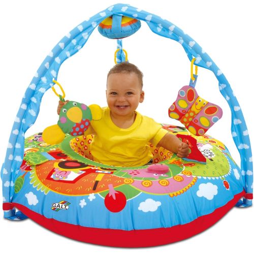  Galt America Galt Toys, Playnest & Gym - Farm, Baby Activity Nest