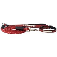 GameWear Gift Pack Arkansas Razorbacks Pebble Grain Toy Football Collar & Medium Football Leash