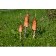 /GardenOfOaks Garden Mushroom (Brown tones), Handmade, garden decor, terrarium decoration