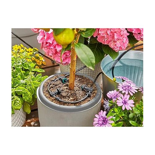  Gardena 13300-20 AquaBloom Solar-Powered Irrigation Pump/Timer Set: Water 20 Indoor/Outdoor Plants up to 13ft High, All Year Long, No Electricity/Water Connection Needed - Made in Germany